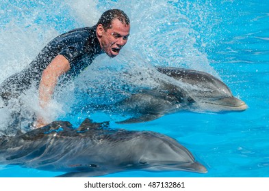 Riding On Two Dolphins Show Loro Stock Photo 487132861 | Shutterstock