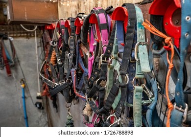 Riding tack hanging on the wall