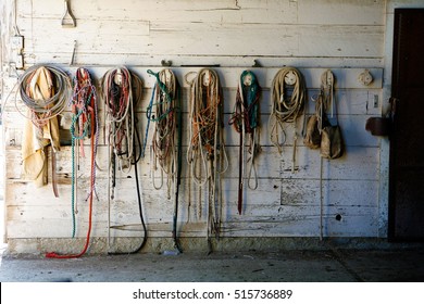 Riding Tackle Hanging From A Wall In A Horse Barn