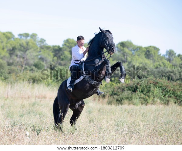  riding\
teenager are training her black\
horse