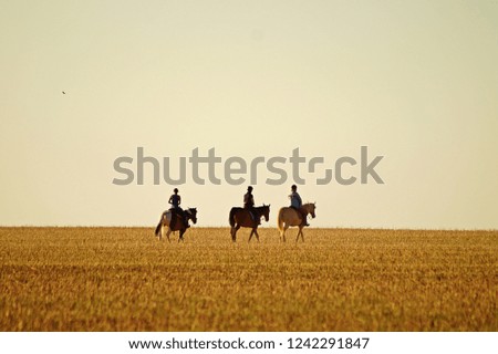 Similar – Image, Stock Photo steppe ride Ride Nature