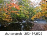 Ridley Creek State Park in Media, Pennsylvania is one of the best destinations to see fall foliage near Philadelphia, Pennsylvania