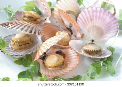 Riesling Steamed Bay Scallops