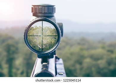 rifle target view on Natural Background. Image of a rifle scope sight used for aiming with a weapon
