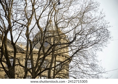 Riga in winter, view of an Art Nouveau building through a pattern of trees against a blue sky. Riga, Latvia. High quality photo
