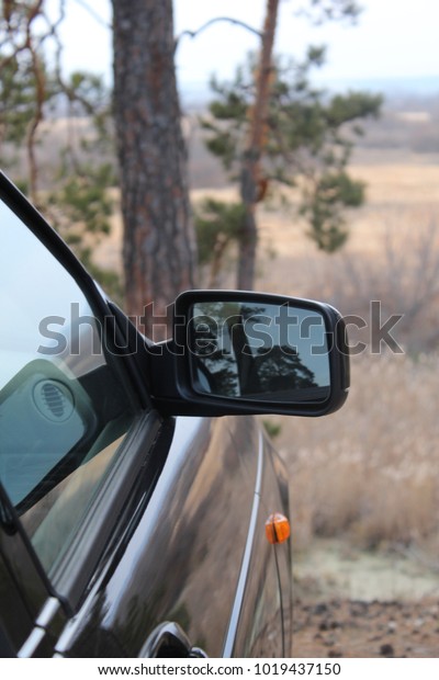 Right external mirror\
of the car close up