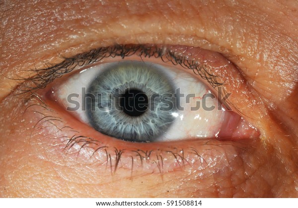 Right Eye of blue color of a fouty Years old Woman,\
close up