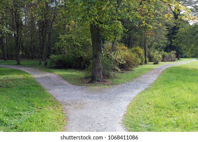 Right Left Fork Road Forest Stock Photo 1068411086 | Shutterstock