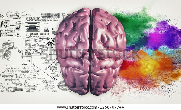 Right and left hemisphere of the brain .\
Creative half and logical half of human\
mind.