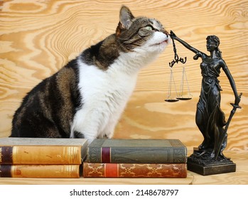 Los derechos de los animales. Un gato y una figura de Justitia con libros sobre fondo de madera 