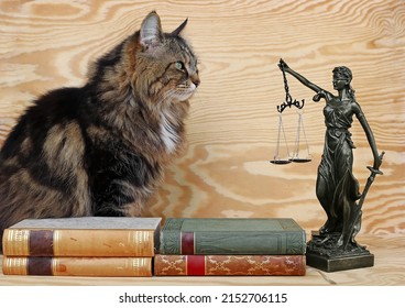 The rights of animals. A cat and a Justitia figure with books on a wooden background 
