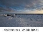 Riisitunturi National Park Posio Finland