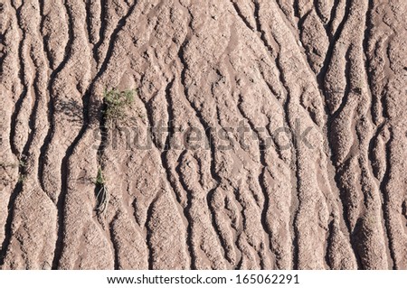 Rill erosion