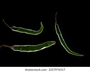 Rim light with desi green chillie and black background. - Shutterstock ID 2257976517