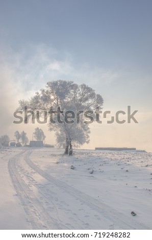 Rime