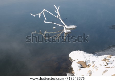 Rime