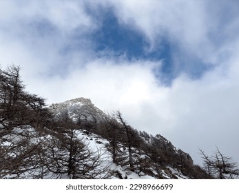Rime and sea of clouds in the mountains in winter