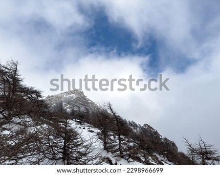 Rime and sea of clouds in the mountains in winter