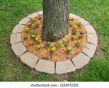 270 Mulch around tree Images, Stock Photos & Vectors | Shutterstock