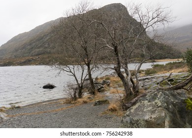 Ring Of Kerry. Winter. Ireland. Killarney National Park