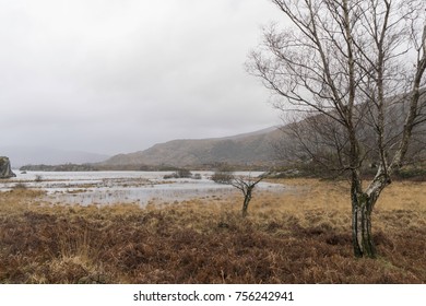 Ring Of Kerry. Winter. Ireland. Killarney National Park