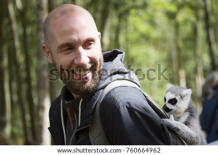 Similar – Image, Stock Photo Portrait of a ring-tailed lemur (Lemur catta)