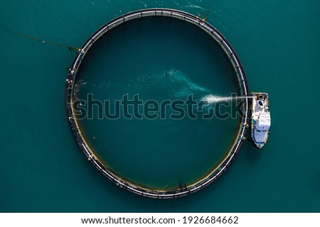 Ring of tuna farm and boat in the sea. Top view
