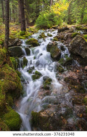 Rio Alba. Route Alba or gorges of LlaÃ­mo. Soto de Agues, Sobrescobio, Asturias. Redes Natural Park. Stock photo © 