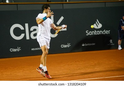 Rio, Brazil - February 16, 2019: Thomaz Bellucci (BRA) During Rio Open 2019 (ATP 500) Held At The Jockey Club Brasileiro.