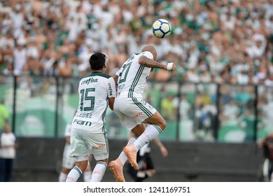 Rio, Brazil - November 25, 2018: Felipe Melo Player In Match Between Vasco And Palmeiras By The Brazilian Championship In Sao Januario Stadium