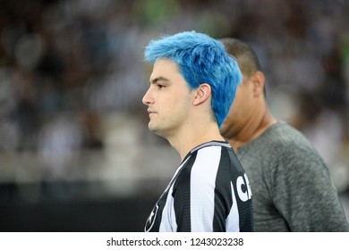 Rio, Brazil - November 26, 2018: Felipe Melo During Match Between Botafogo And Parana By The Brazilian Championship In Nilton Santos Stadium