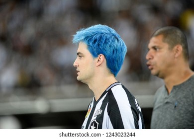 Rio, Brazil - November 26, 2018: Felipe Melo During Match Between Botafogo And Parana By The Brazilian Championship In Nilton Santos Stadium