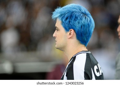 Rio, Brazil - November 26, 2018: Felipe Melo During Match Between Botafogo And Parana By The Brazilian Championship In Nilton Santos Stadium