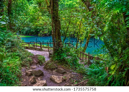 Rio Celeste with turquoise river, blue water. Tenorio national park Costa Rica. Central America.