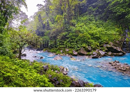 Rio Celeste Waterfall and pond in Tenorio Volcano National Park, Alajuela Province, Costa Rica