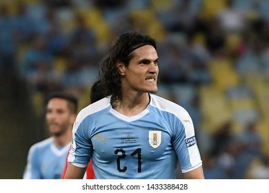 Cavani Images Stock Photos Vectors Shutterstock Cavani Images Stock Photos Vectors Shutterstock