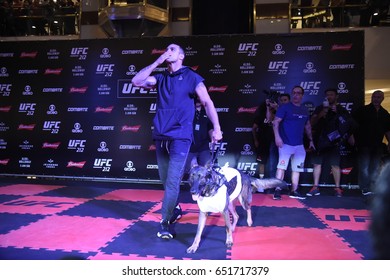 Rio De Janeiro- Brazil May 31, 2017, Athletes Training For The UFC 212 Fight In Rio De Janeiro. Fighter Vitor Belfort