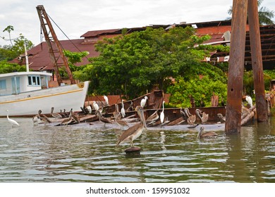 Rio Dulce