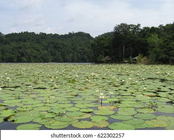 Rio Dulce Guatemala