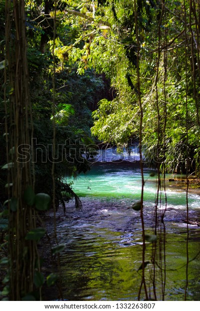 Rio Grande River Jamaica Stock Photo Edit Now