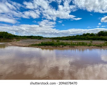 Rio Grande Valley In The Bosque  