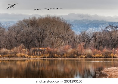 Rio Grande Valley State Park With Sandia Mountains In The Background.