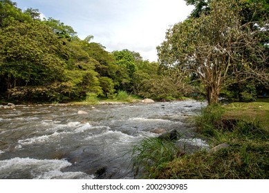 Rio Natural, Village Of Pance Valle Del Cauca, Cali Colombia.