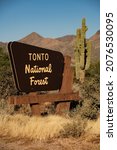 Rio Verde and Fountain Hills Signage or Saguaros