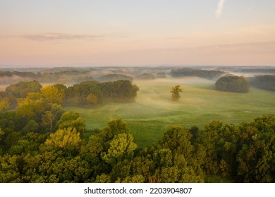 Riparian Forest With Morning Mists From Aerial Perspective