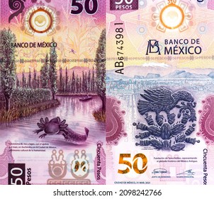 Riparian and lake ecosystems represented by the Axolotl and Xochimilco. Portrait from Mexico 50 Pesos 2021 Banknotes. 
