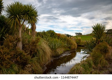 Riparian Planting Alongside A Farm Waterway Prevents Animals From Contaminating The Water And Also Provides A Habitat For Birds