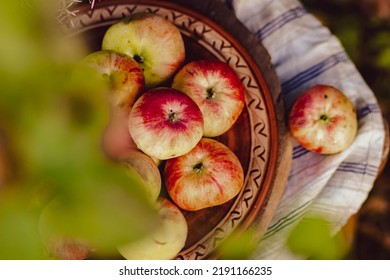 Ripe Apples On A Ceramic Plate. Lavish Still Life In Rustic Style In Mid-August