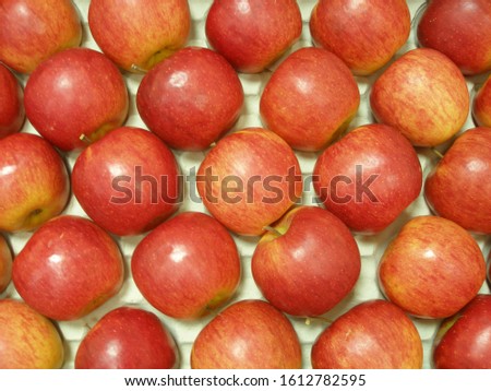 Ripe Apples 'Rubin' (Malus domestica)