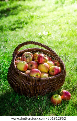 Similar – Image, Stock Photo Fruit orchard